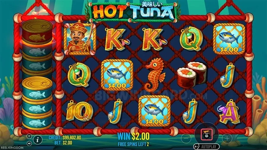 Live Game Show at www