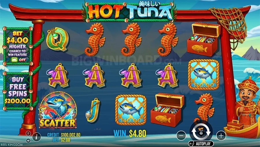Live Casino Dealer